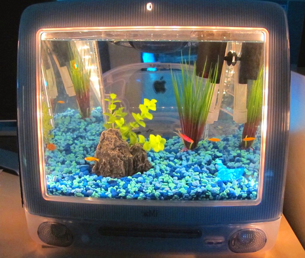 Pic of a macquarium, an aquarium made in a old iMAC 
